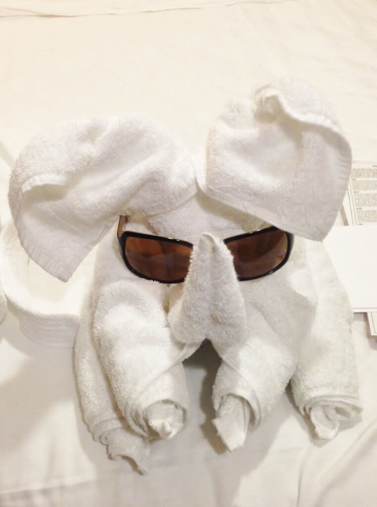 norwegian cruise line towel animals