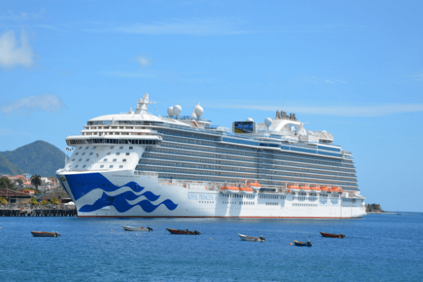 The Cruise: A Cruise Reality Show (to Watch While We’re Not Cruising)