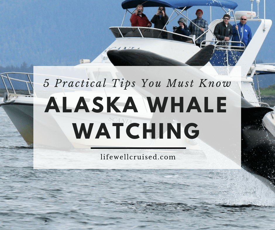 5 Practical Alaska Whale Watching Tips You Need to Know