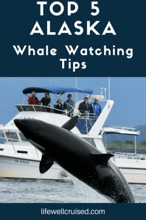 5 Practical Alaska Whale Watching Tips You Need to Know