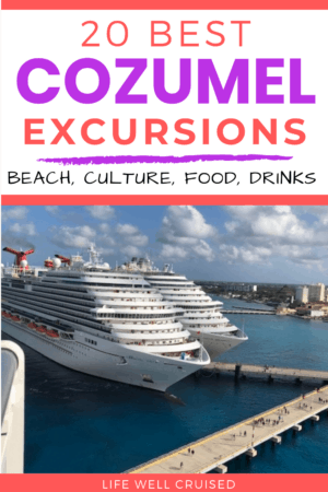 20 best cozumel excursions 