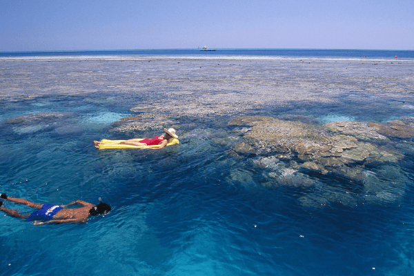 people snorkeling as active excursion