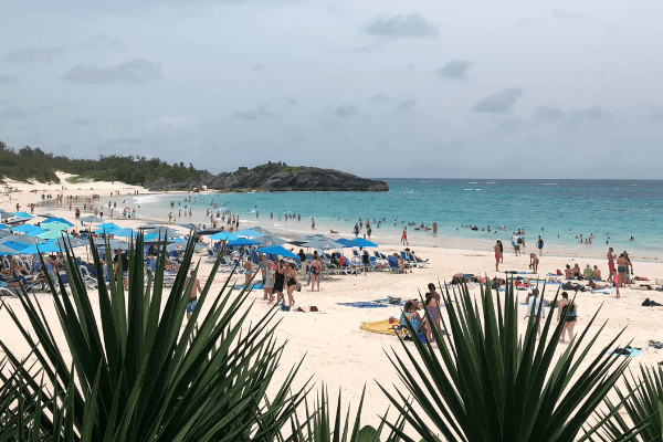 horseshoe beach bermuda