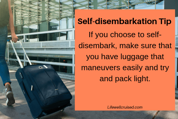 self disembarkation tips - luggage