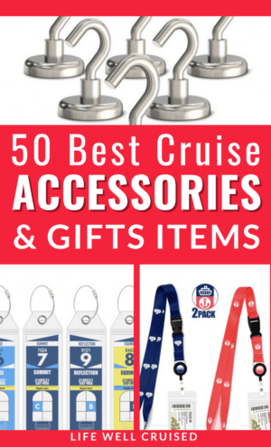 50 Best Cruise Accessories and gifts