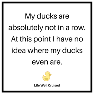 My ducks are absolutely not in a row meme life well cruised