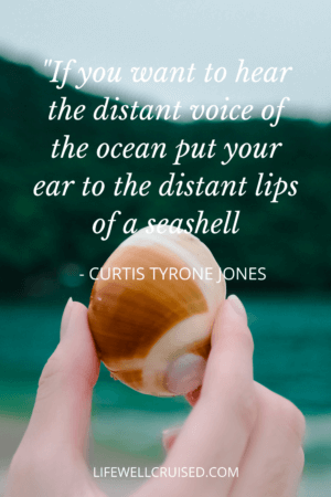 If you want to hear the distant voice of the ocean put your ear to the distant lips of a seashell. ocean quote