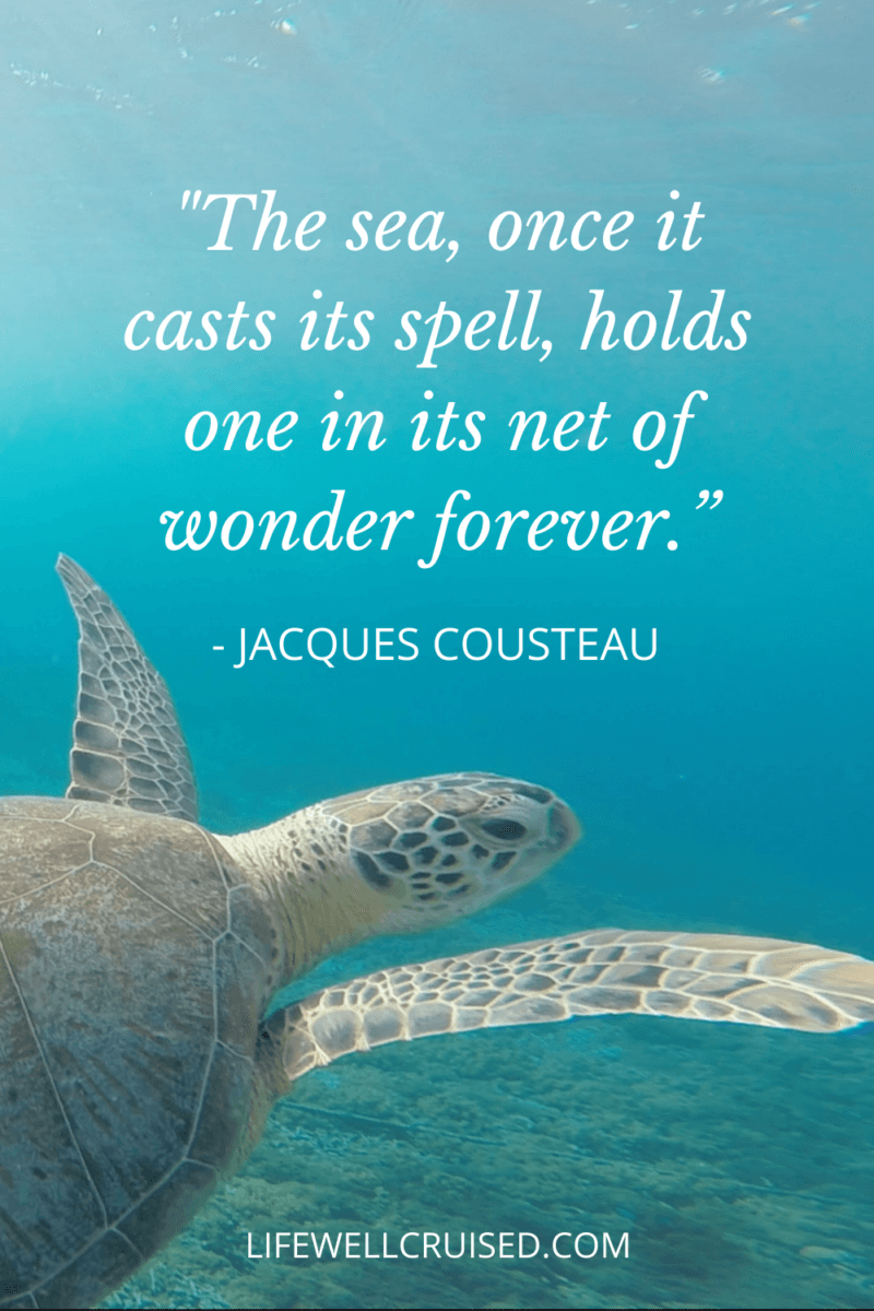 50 Inspirational Ocean Quotes for Those That Love the Sea - Life Well ...