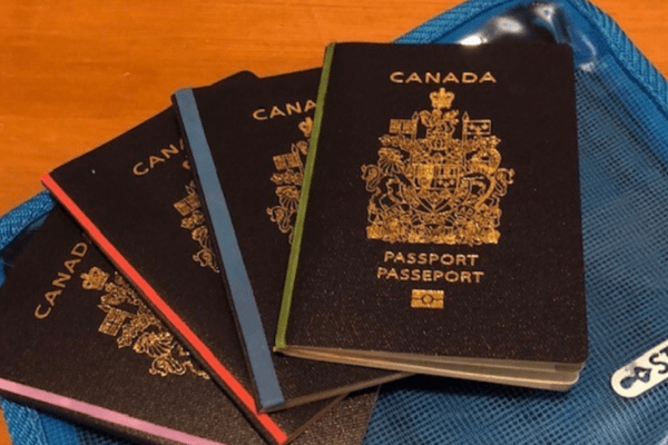 Passports for a cruise