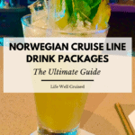 norwegian cruise line drink packages - the ultimate guide