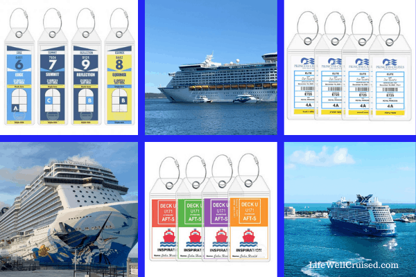 Princess Cruise Ship Luggage Tag Holders by Cruise On [4 Pack] Fits All  Princess Ships & Tags for Cruising in 2023 & 2024