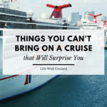 Things You Can't Take on a Cruise that Will Surprise You