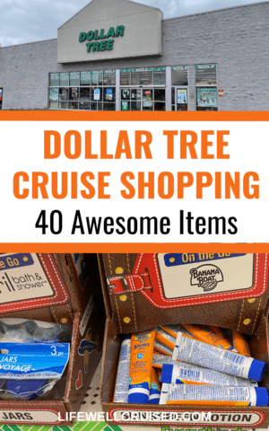 25 Dollar Store MUST-BUY Items for a Disney Cruise - Mama Cheaps®