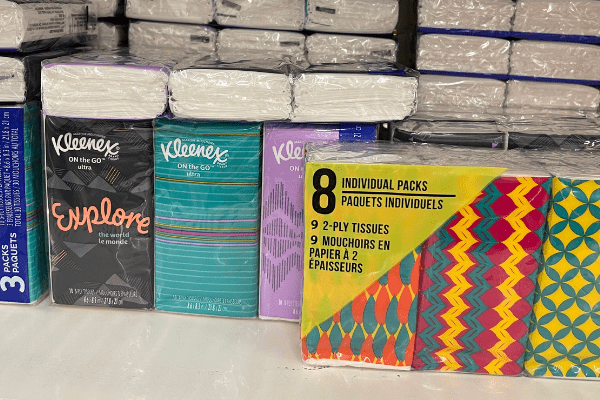 Dollar store kleenex travel packs