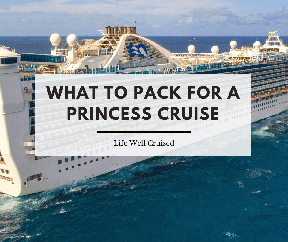 40+ Must-Have Dollar Store Cruise Items & Hacks - Life Well Cruised