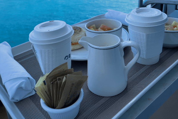 What Food and Drinks Can You Bring on a Cruise? (snacks, water bottles,  wine & more) - Life Well Cruised