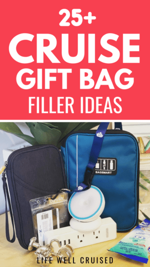 travel goodie bag ideas for adults