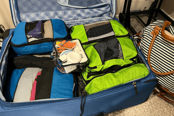 Best cruise luggage online