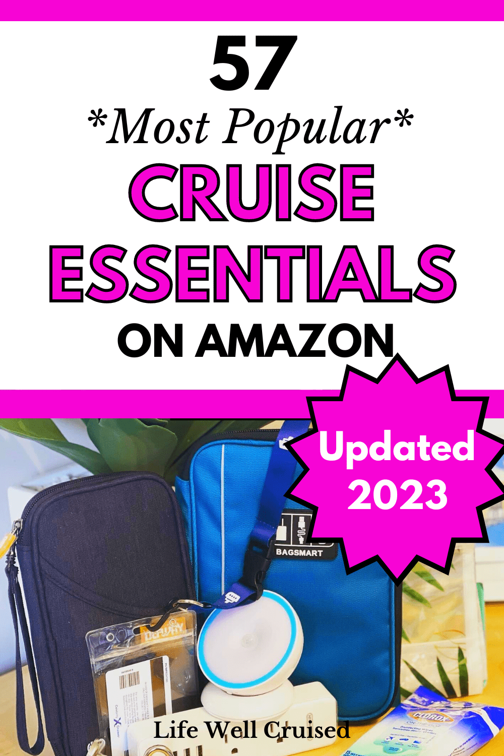 cruise travel necessities