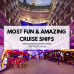 most fun cruise ships