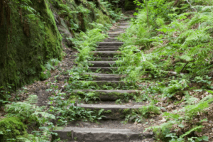 10 Shore Excursion Mistakes Cruisers Almost Always Regret - Life Well ...