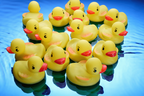 11 Rubber Ducks ideas  carnival games, school carnival, rubber duck