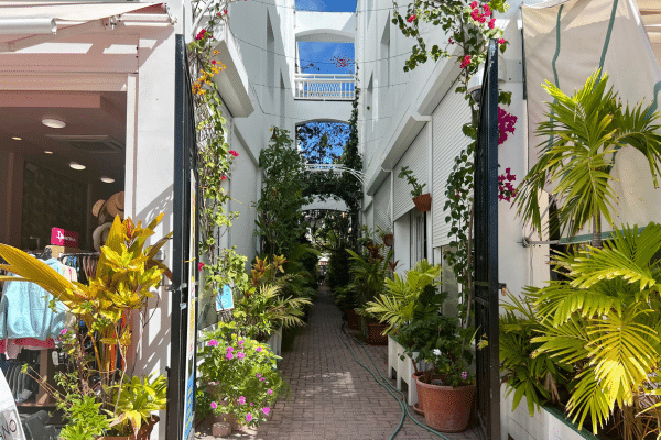 sint maarten cruise terminal