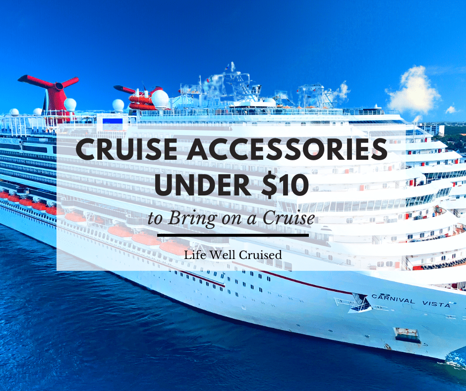 10 Pack Cruise Luggage Tags for Carnival Cruise | NCL Norwegian Cruise Line  | MSC Cruises | Princess Cruises | Cruise Essentials Cruise Accessories