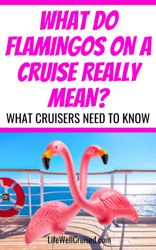 what flamingos mean on a cruise