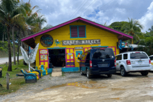 23 Best Things to Do in Roatán on a Cruise [Port Guide] - Life Well Cruised