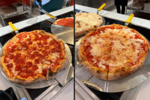 25 MSC Cruise Tips Every Cruiser Needs to Know - Life Well Cruised