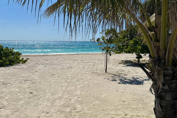 Ocean Cay Beach