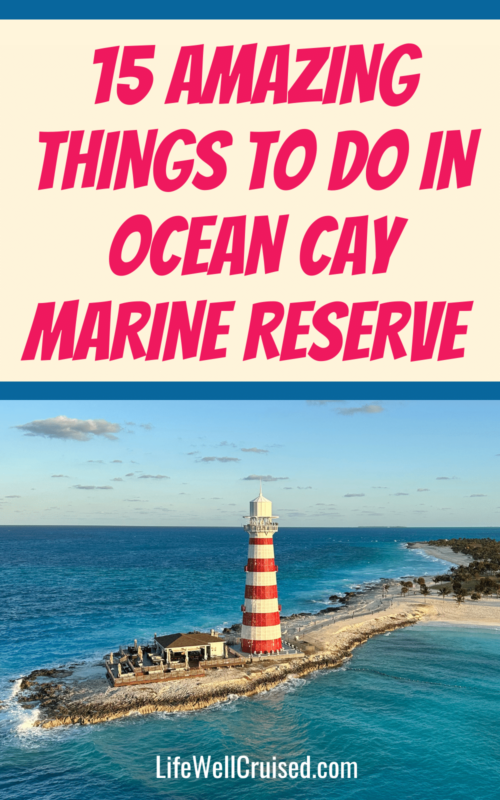 Things to do in Ocean Cay Marine Reserve