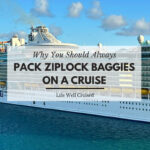 why pack ziplock backs on a cruise