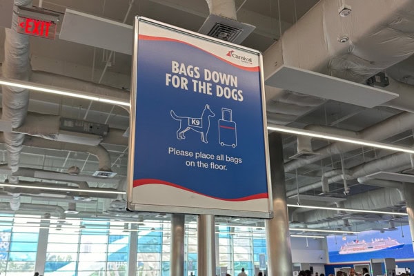 Cruise Security sniffer dogs