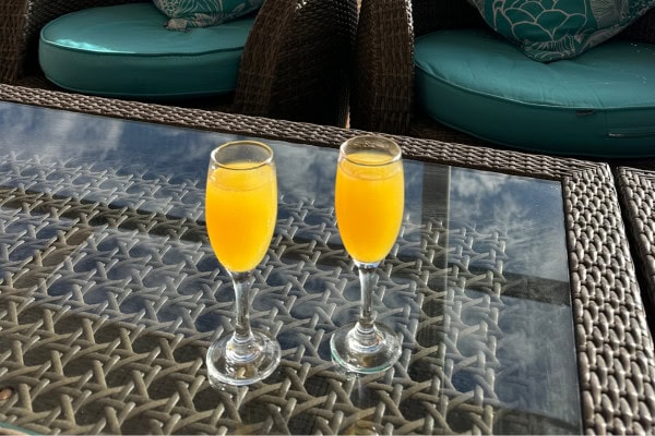 Mimosa