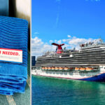 things cruisers take from cruise ships (towels)