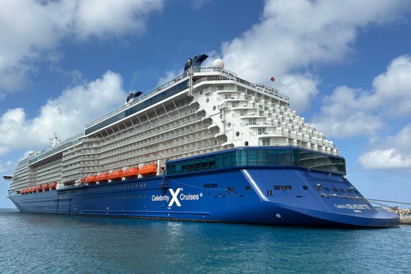 Celebrity Silhouette